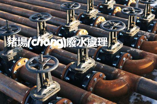 豬場(chǎng)廢水處理新技術(shù)：環(huán)保之路還是難題重重？